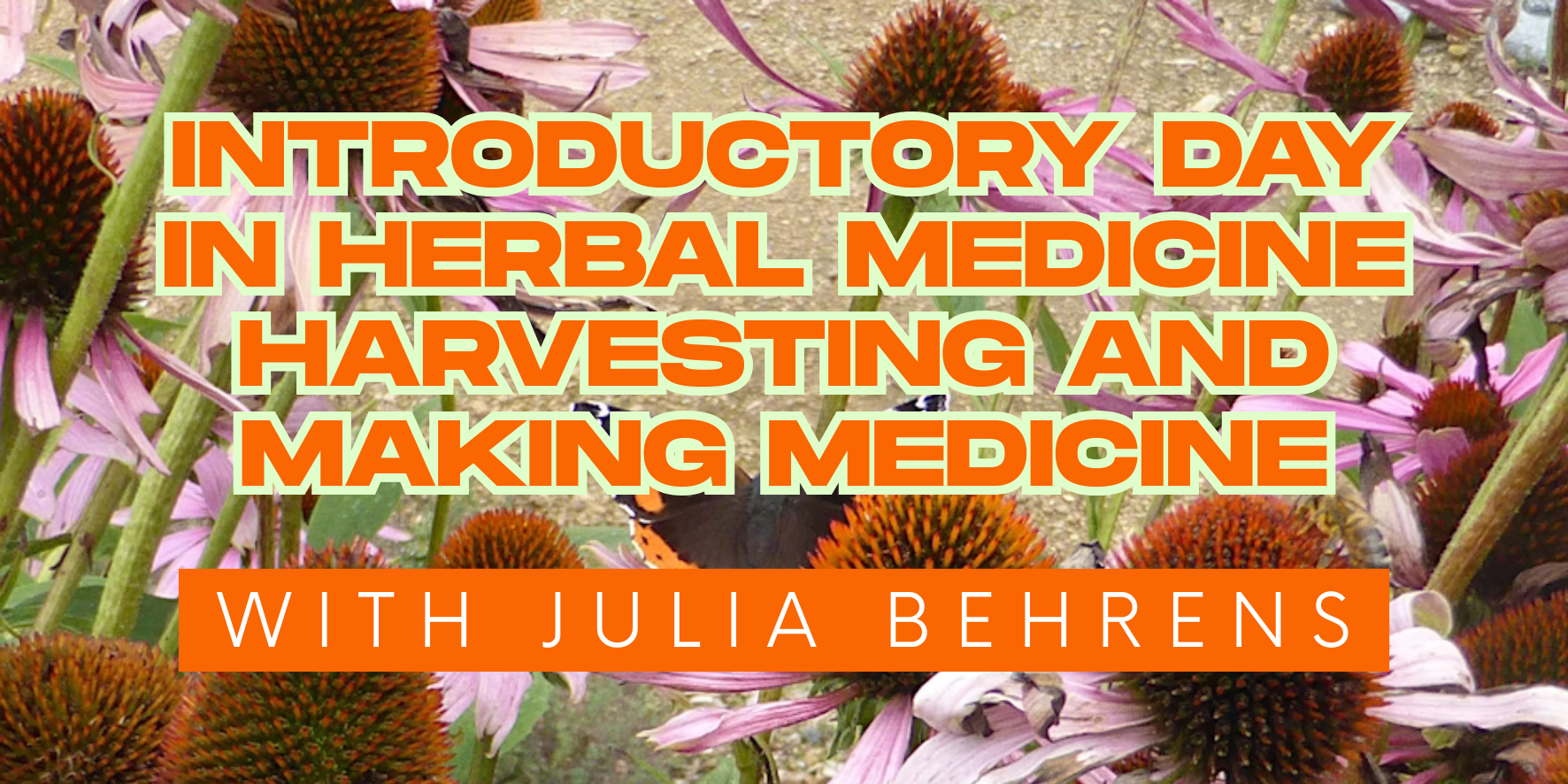 Introductory Day in Herbal Medicine Harvesting and Making Medicine
